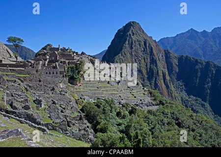 Machu Picchu mit Huaynu Picchu hinter im Heiligen Tal von Peru. Stockfoto