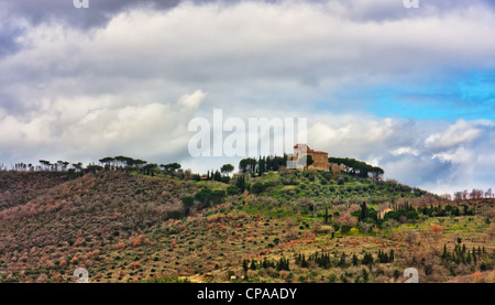 Landschaft mit Olivenhainen in Umbrien Stockfoto