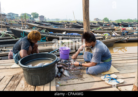 Zwei junge Männer putzen und bereiten Fisch auf einem Holzsteg neben Fischerbooten auf dem Phaung Daw Oo Pagode Marktplatz in Shan, Myanmar. Birma Stockfoto