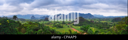 Das Vinales Tal in Kuba, ein beliebtes Ferienziel und ein großer Tabak Anbaugebiet Stockfoto