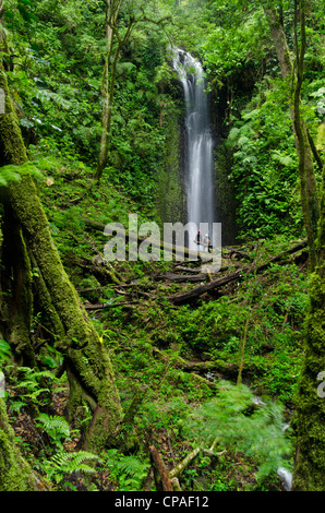 Wasserfall im Regenwald, La Amistad international park Stockfoto