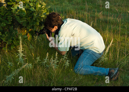 Winnipeg, Manitoba Kanada Stockfoto