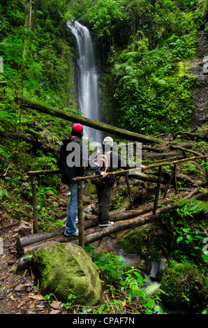 Wasserfall im Regenwald, La Amistad international park Stockfoto