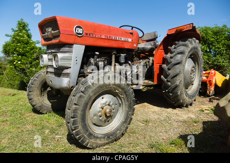 Padna, Slowenien, Dorf mit saisonalen Olivenöl Wein und Bauernhof produzieren feste - Massey Ferguson-Traktor. Stockfoto