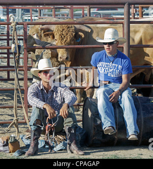 USA, Montana, Crow Agentur. Teilnehmer an der Stier reiten Veranstaltung des jährlichen Rodeo statt während der Crow Fair, Stockfoto