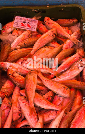 Split, dalmatinischen Küste von Kroatien - der Fischmarkt. Fisch. Trlja. Stockfoto