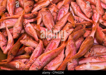 Split, dalmatinischen Küste von Kroatien - der Fischmarkt. Fisch. Trlja. Stockfoto