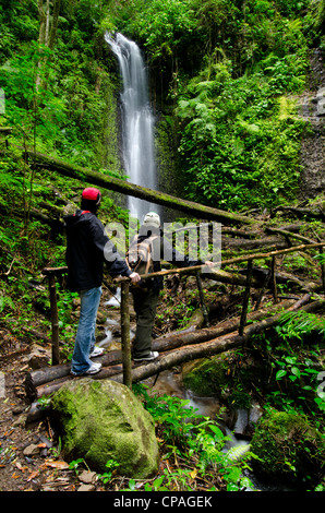 Wasserfall im Regenwald, La Amistad international Park, Provinz Chiriqui, Panama Stockfoto