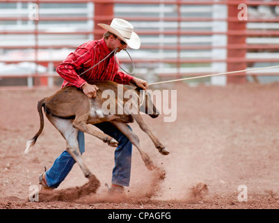 USA, New Mexiko, Mescalero. Wettbewerber in das Kalb roping Ereignis beim jährlichen indischer Rodeo statt in Mescalero, New Mexico. Stockfoto