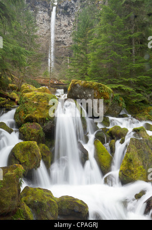Watson Creek und Falls, Oregon Stockfoto