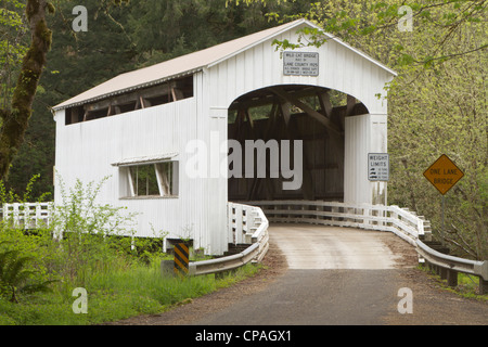 Wild Cat gedeckte Brücke, Lane County, Oregon Stockfoto