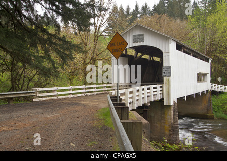 Wild Cat gedeckte Brücke, Lane County, Oregon Stockfoto