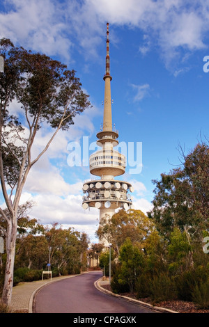 Nahaufnahme der Telstra Tower am Black Mountain, ein Wahrzeichen des Canberra Bereichs. Stockfoto