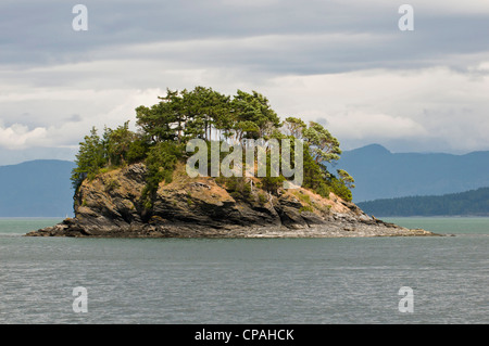 USA, WA, San Juan Inseln. Kegel Inseln State Park- Stockfoto