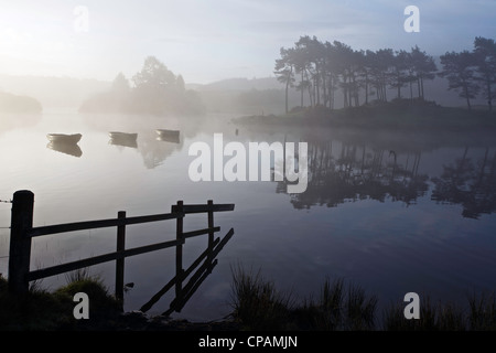 Drei Ruderboote auf Knapp Loch an einem nebligen Morgen, Kilmaholm in der Nähe von Paisley, Schottland. Stockfoto