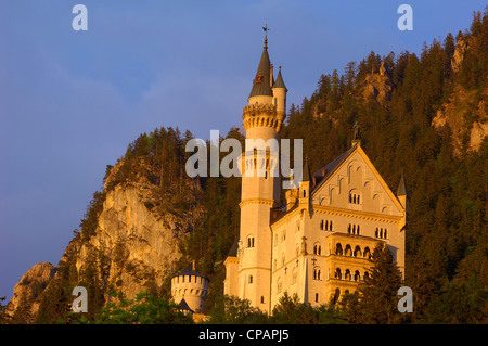 Schloss Neuschwanstein, Allgäu, Füssen, Allgäu, Füssen, romantische Straße, Romantische Strasse, Bayern, Deutschland, Europa Stockfoto