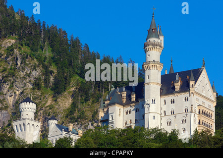 Schloss Neuschwanstein, Allgäu, Füssen, Allgäu, Füssen, romantische Straße, Romantische Strasse, Bayern, Deutschland, Europa Stockfoto
