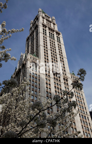 Woolworth Gebäude, entworfen von Cass Gilbert, 233 Broadway in Lower Manhattan, New York City Stockfoto