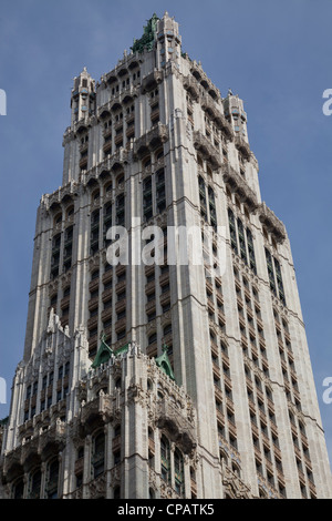 Woolworth Gebäude, entworfen von Cass Gilbert, 233 Broadway in Lower Manhattan, New York City Stockfoto