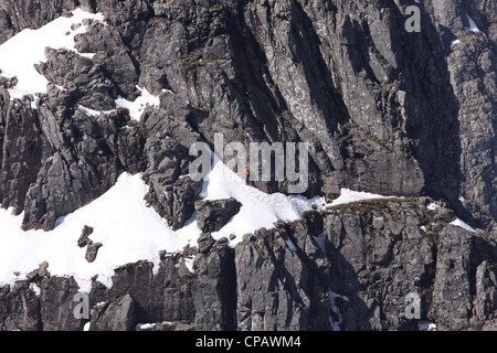 Bergsteiger auf der Nordwand des Ben Nevis Schottland März 2012 Stockfoto