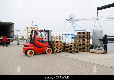 Muscheln sind geladen, auf einen LKW, Muschel-Fischerei auf der Insel Sylt, Hoernum, Schleswig-Holstein, Deutschland, Europa Stockfoto