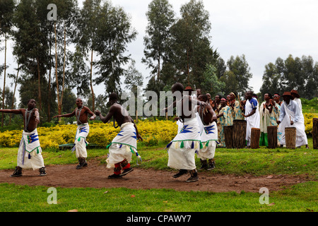 Tribal-TänzerInnen und Trommler bieten eine traditionelle Begrüßung der Volcanoes Nationalpark, Ruanda. Stockfoto