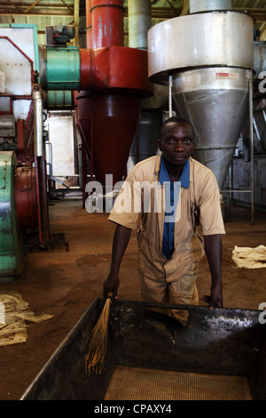 Ein Arbeiter reinigt einem Grabhügel, in denen Tee während Teeproduktion in der Gisakura Teefabrik in Ruanda transportiert wird. Stockfoto