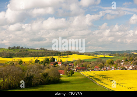 South Harting in West Sussex betrachtet aus dem Norden mit Kirche Spire und Raps Felder und Cumulus-Wolken an einem Frühlingstag Stockfoto