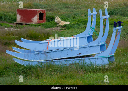 Hundeschlitten und Schlittenhunde mit Zwinger im Sommer bei Ilulissat, Disko-Bucht, West-Grönland, Grönland Stockfoto