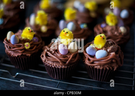 Osterei-Cupcakes mit kleinen gelben Küken auf Rack-Kühlung Stockfoto