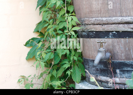 Ein Wasserfass außerhalb in einem Garten Stockfoto