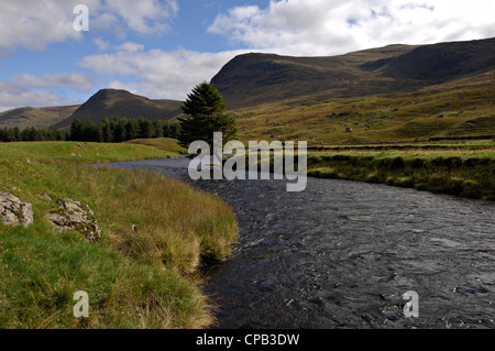 Einsame Kiefer auf einer Insel im Fluss Lyon, Glen Lyon, Schottland Stockfoto