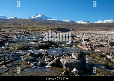 Stream Tatio Geysire Chile Stockfoto