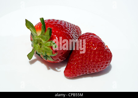 Zwei ganze frische Erdbeeren auf weißem Hintergrund. Stockfoto