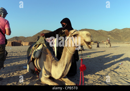 Beduinenführer Frau in traditioneller Kleidung führt Touristen Kamelreiten in der Wüste. Beduinen-Dorf über Hurghada Ägypten Afrika Stockfoto