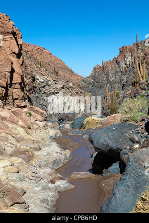 Rio Vilama, in der Nähe von Guatin, San Pedro de Atacama, Chile Stockfoto