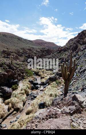 Regenbogen über Moon Valley, San Pedro de Atacama, Chile Stockfoto