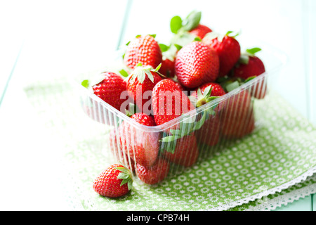 frische Erdbeeren Stockfoto