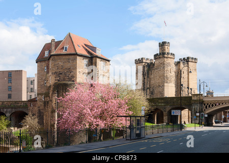 Bergfried & schwarze Tor, alte Newcastle Upon Tyne Stockfoto