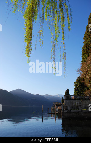 Panoramablick auf Orta See Bäume und Berge bei Sonnenuntergang, Orta St. Giulio, Piemont, Italien Stockfoto