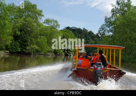 Borneo, Brunei. dichten Mangrovenwälder entlang der Brunei River, nicht weit von der Hauptstadt Bandar Seri Begawan. Stockfoto