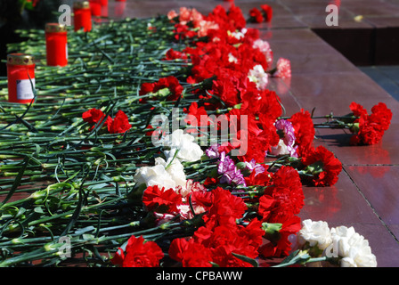 weiß gelb rot rosa Blumen auf dem Felsen Stockfoto