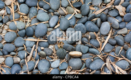 Steinen und Kieselsteine Satz in einem Natur-Hintergrund (Wallpaper oder Hintergrund-Bild) Stockfoto