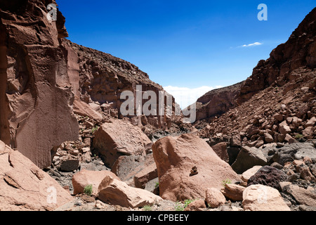 Die entfernten Quezala-Schlucht, in der Nähe von Talabra, Atacamawüste, Chile Stockfoto