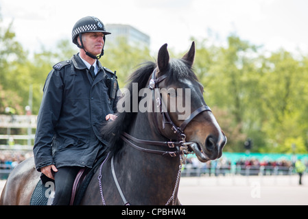 London-Polizist zu Pferd im Buckingham Palace. London. England. Stockfoto