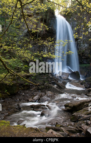 Melincwrt Wasserfall Stockfoto