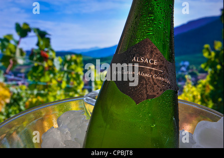 Nahaufnahme Elsass Etikett auf Flasche im Weinkühler Riquewihr Wein Dorf und die Weinberge im Hintergrund Elsass Frankreich Stockfoto