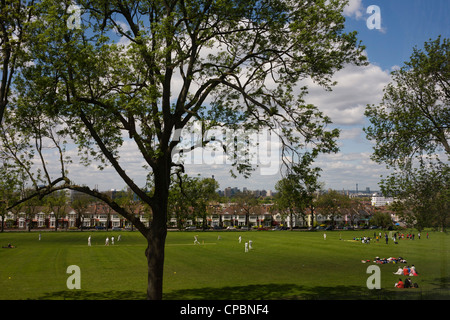 Ein lokales Spiel Cricket wird auf dem grünen Rasen unter 100 Jahre alten Reifen Eschen in Ruskin Park gespielt. Stockfoto