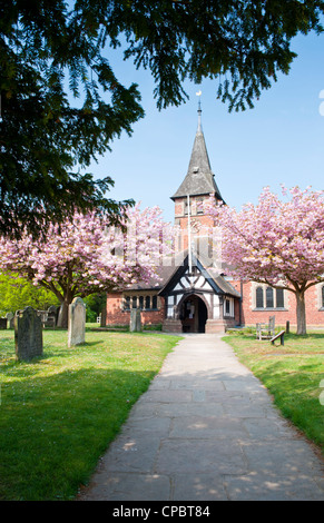 Kirschblüte außen St. Mary Parish Church, Whitegate, Cheshire, England, UK Stockfoto