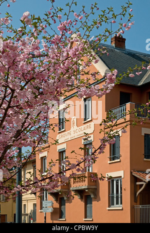 Groupe Scolaire Grundschule Ste Foy Les Lyon Frankreich in der Frühlingssonne mit rosa Blüte Stockfoto